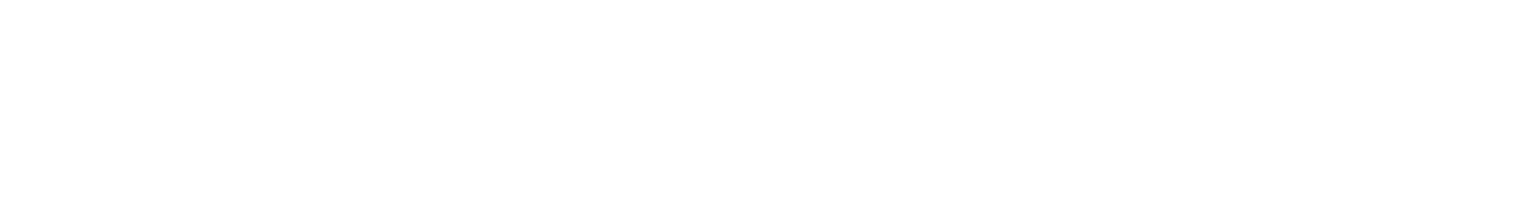 MAGNET