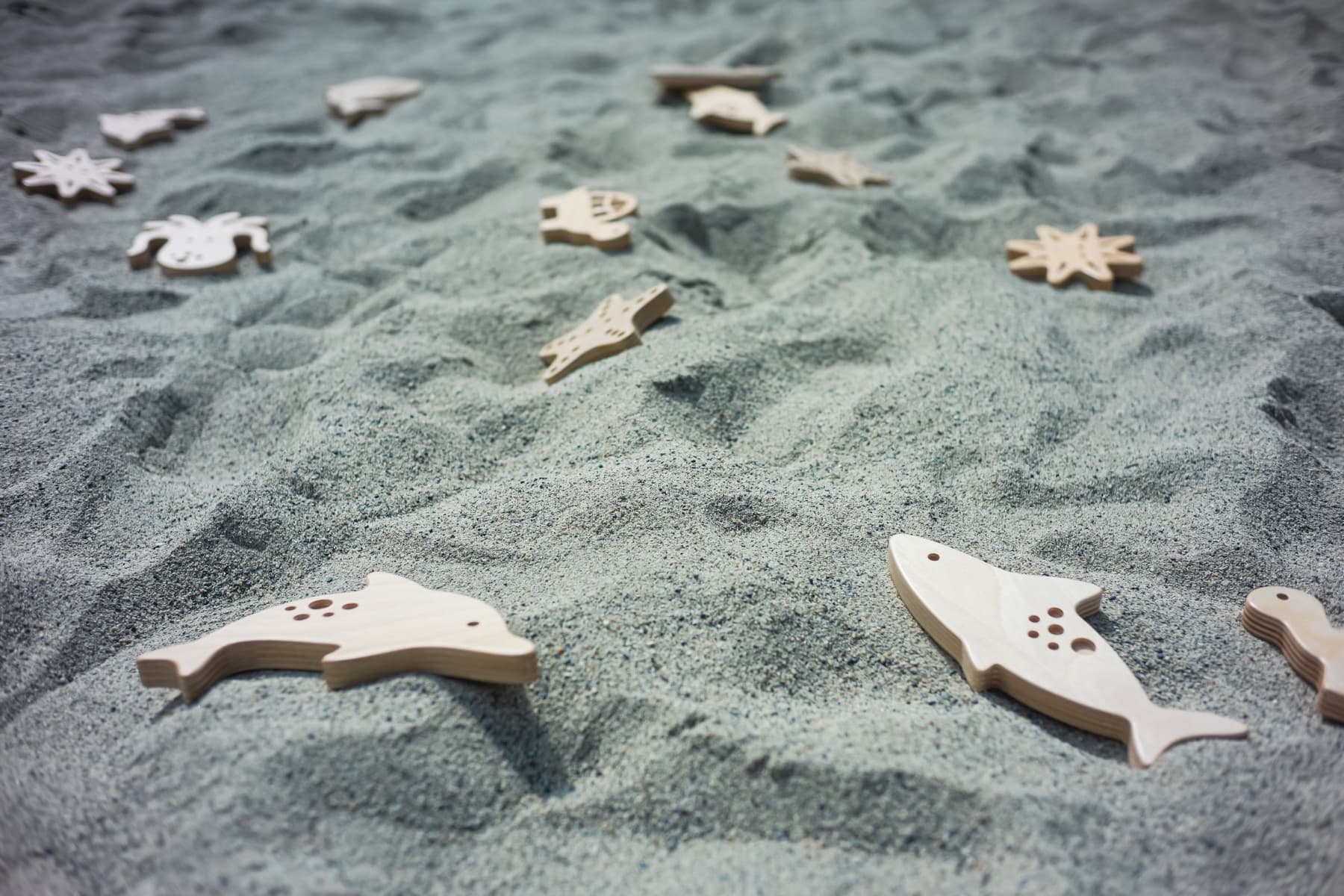 SAND FISHING